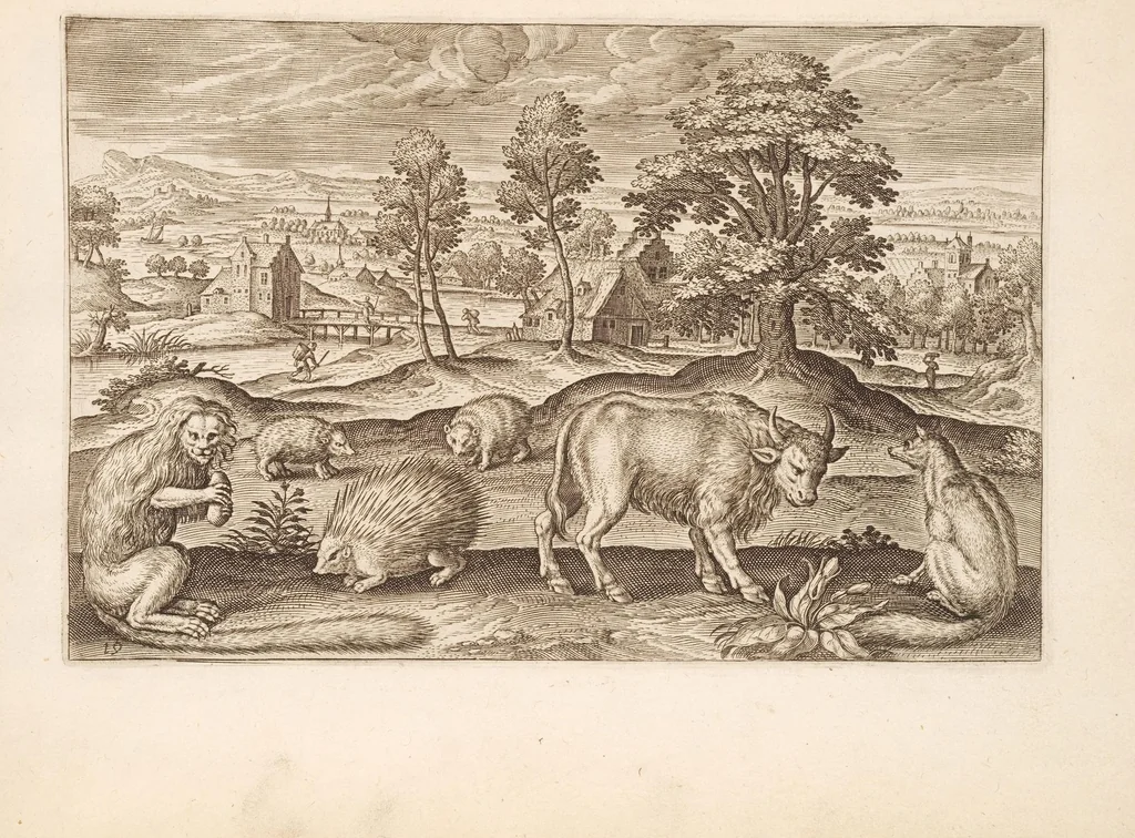 An illustration from Animalium quadrupedum omnis generis verae et artificiosissimae delineationes in aes, 1612, leaf 49