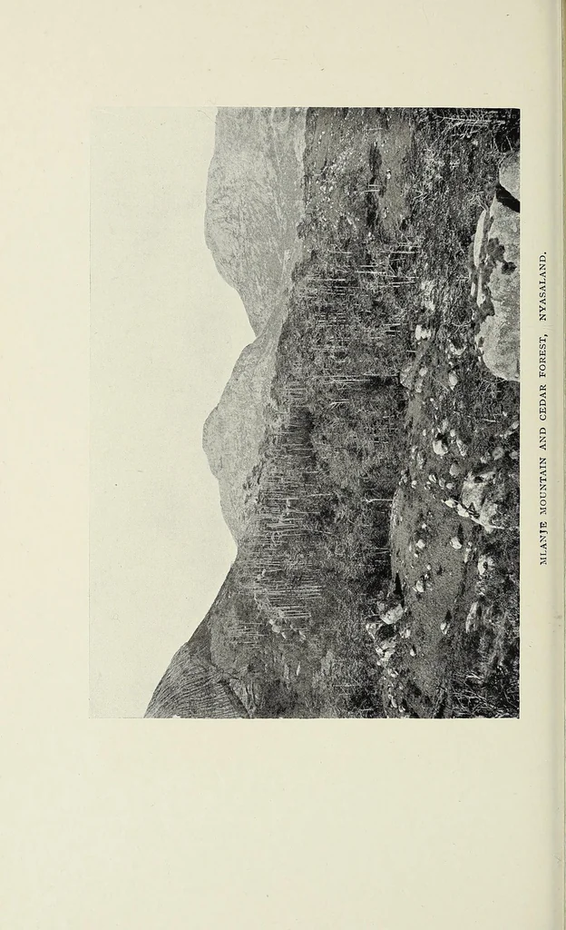An illustration from The backbone of Africa : a record of travel during the Great War, with some suggestions for administrative reform, 1921, leaf 66