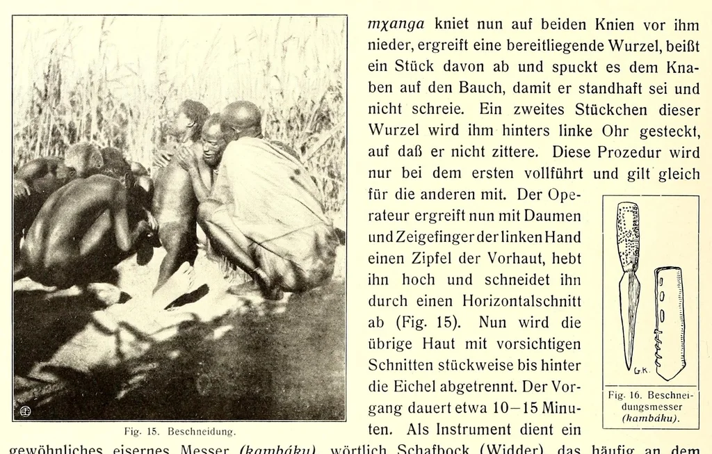 An illustration from Baessler-Archiv, 1910, leaf 14