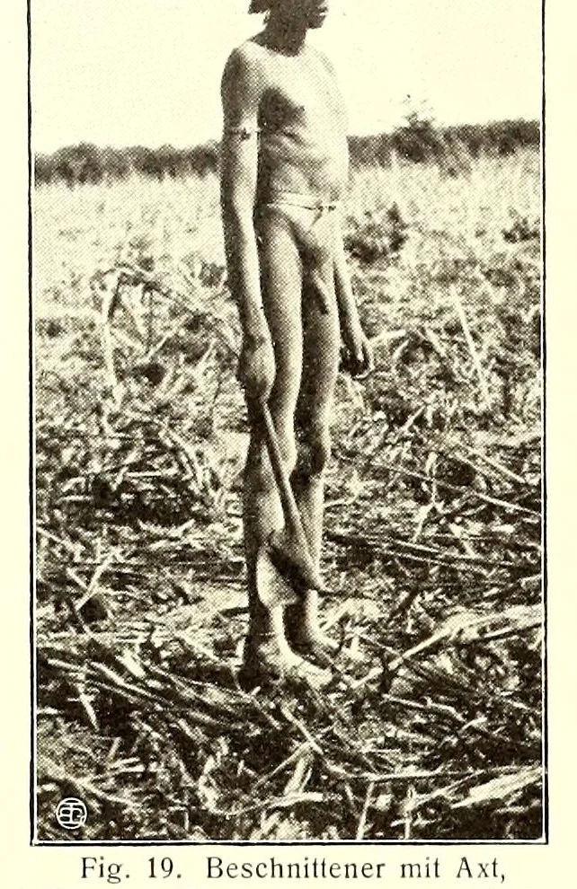 An illustration from Baessler-Archiv, 1910, leaf 16