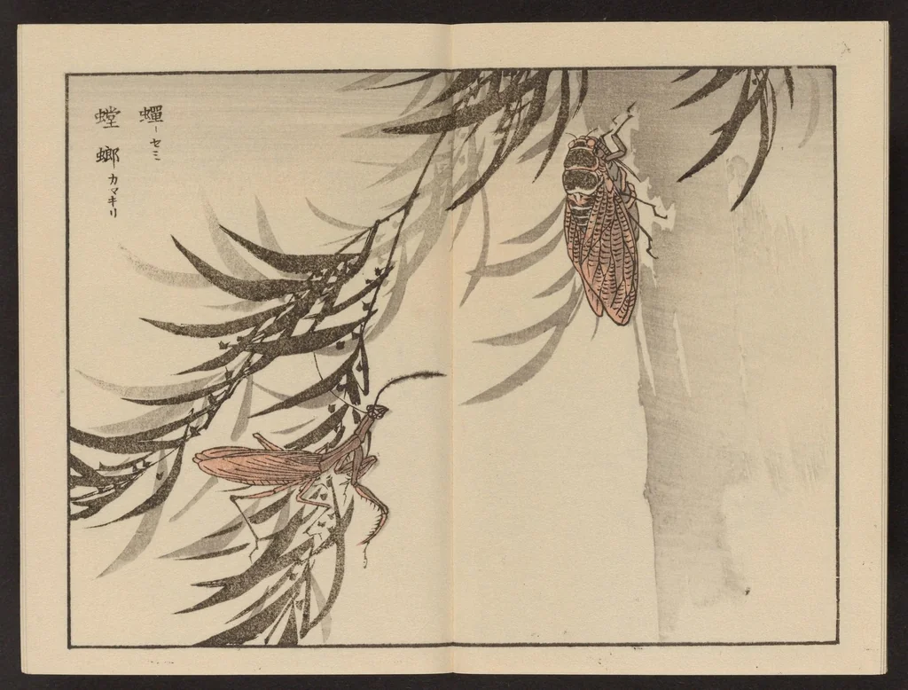 An illustration from Bairei gafu, 1905, leaf 11