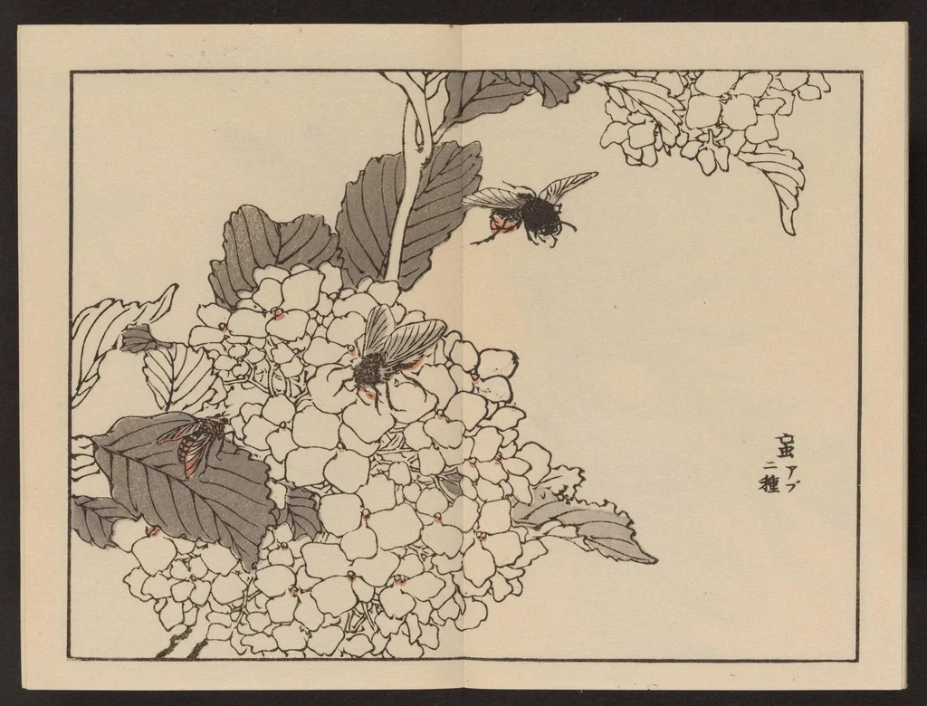An illustration from Bairei gafu, 1905, leaf 12