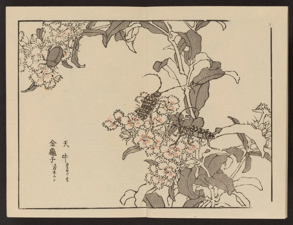 An illustration from Bairei gafu, 1905, leaf 14