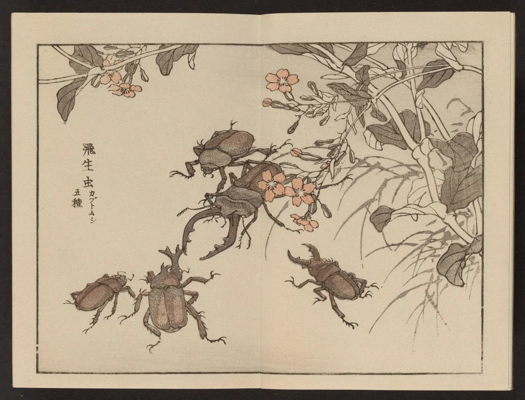 An illustration from Bairei gafu, 1905, leaf 17