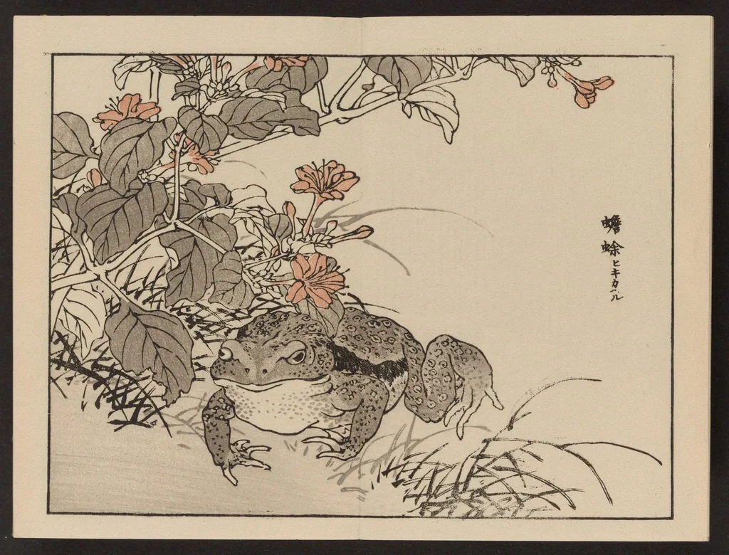 An illustration from Bairei gafu, 1905, leaf 24