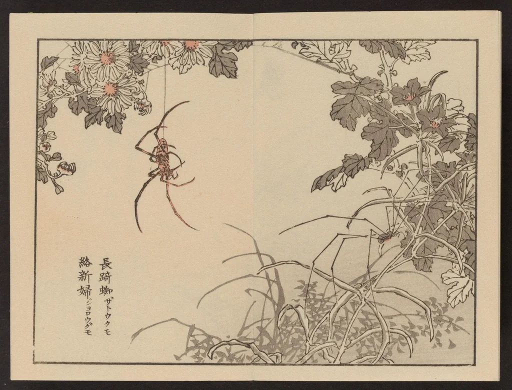 An illustration from Bairei gafu, 1905, leaf 27