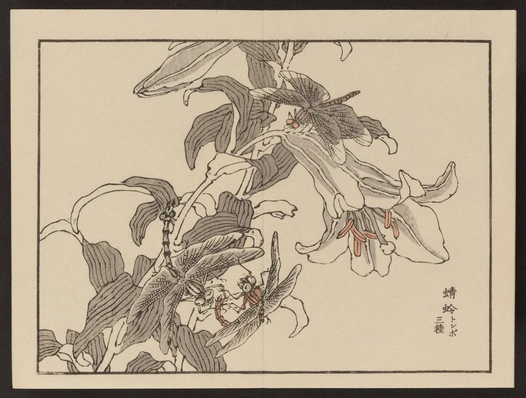 An illustration from Bairei gafu, 1905, leaf 5