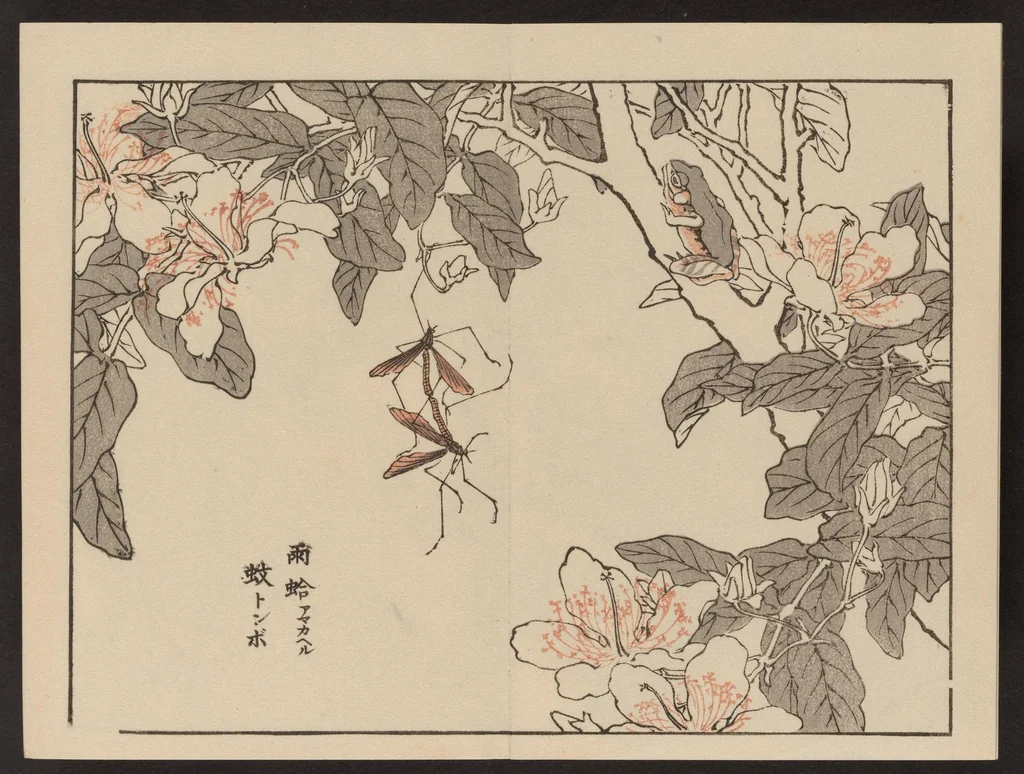 An illustration from Bairei gafu, 1905, leaf 6