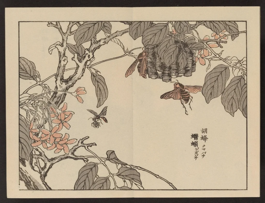 An illustration from Bairei gafu, 1905, leaf 8