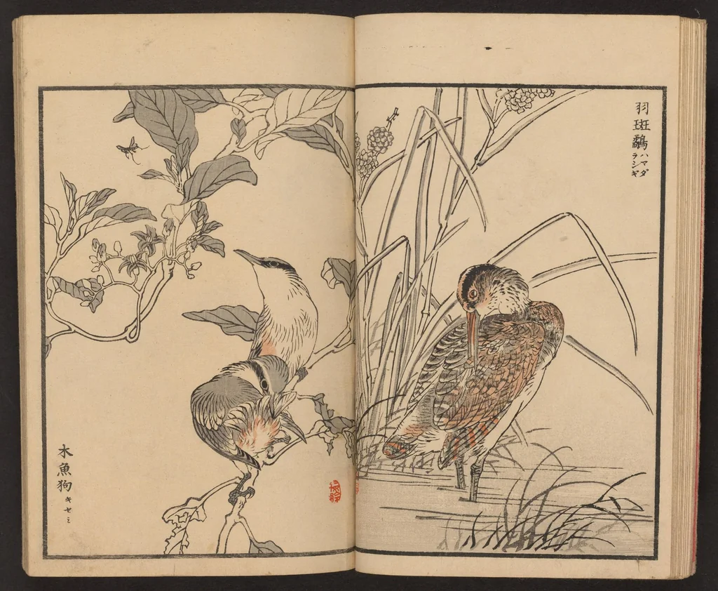 An illustration from Bairei hyakuchō gafu, 1884, leaf 16