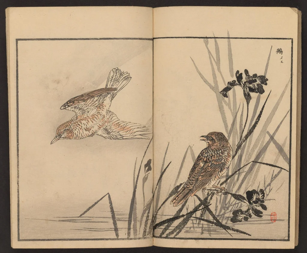 An illustration from Bairei hyakuchō gafu, 1884, leaf 25
