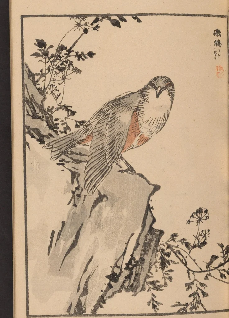 An illustration from Bairei hyakuchō gafu, 1881, leaf 8