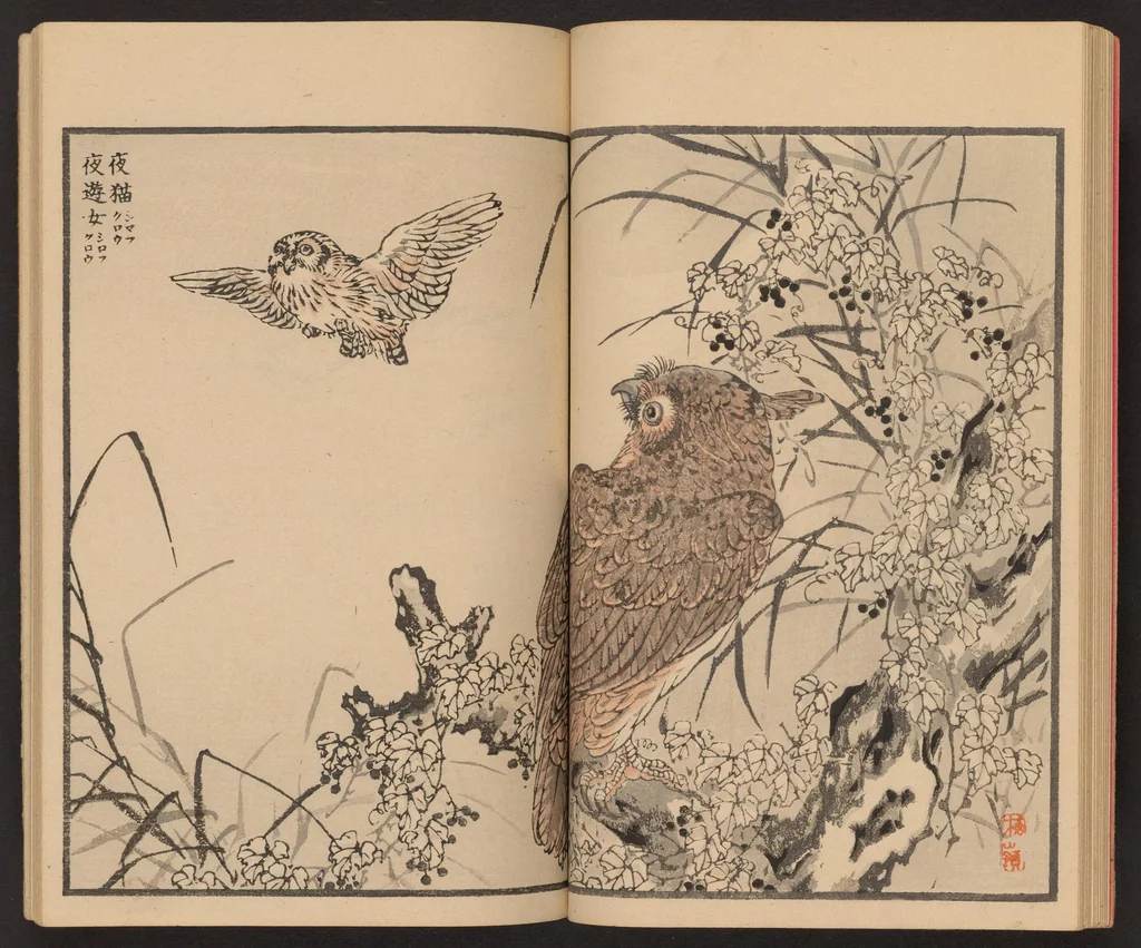 An illustration from Bairei hyakuchō gafu, 1884, leaf 17