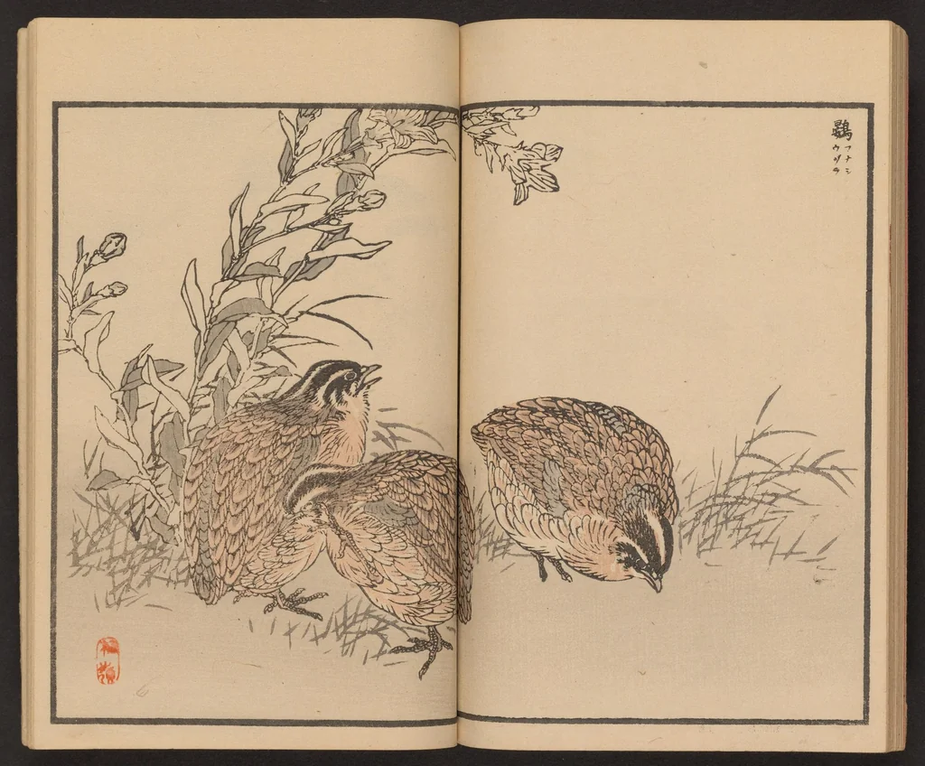 An illustration from Bairei hyakuchō gafu, 1884, leaf 20