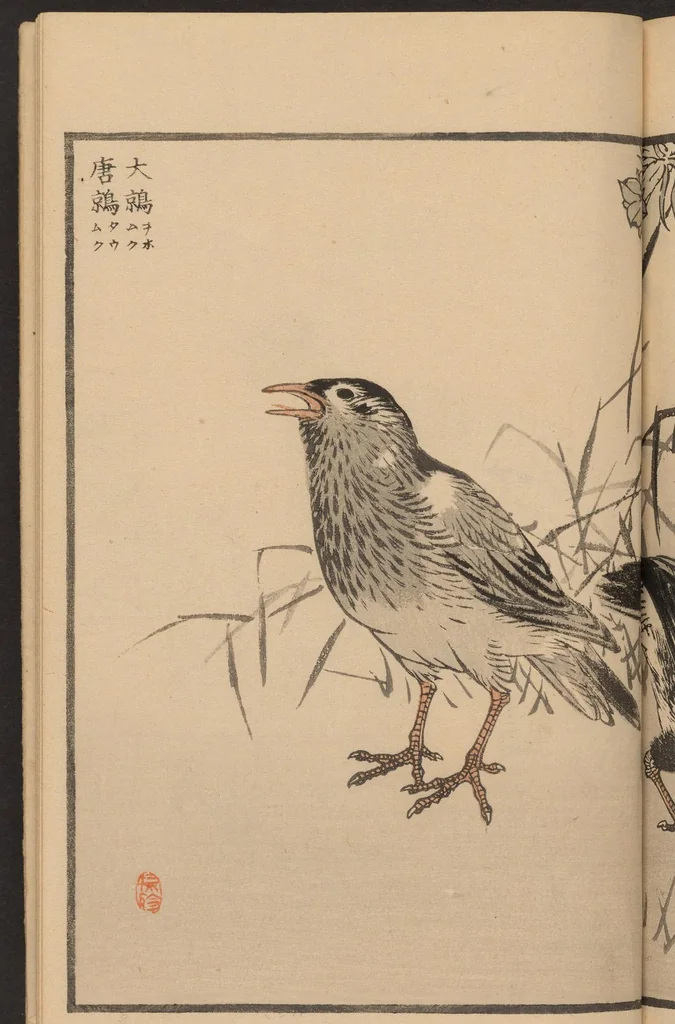 An illustration from Bairei hyakuchō gafu, 1884, leaf 24