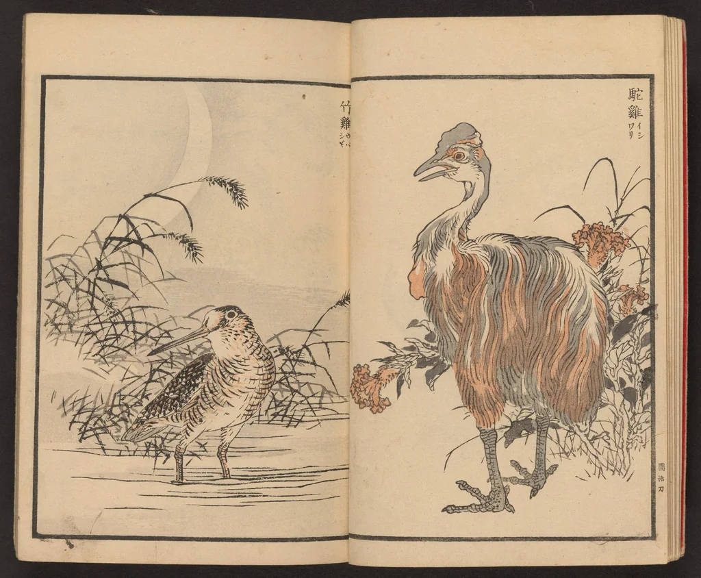 An illustration from Bairei hyakuchō gafu, 1884, leaf 9