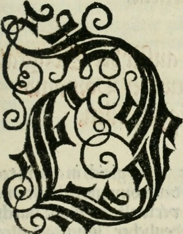 An illustration from Bairische Lanndtsordnung, 1553, leaf 120