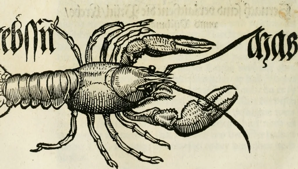 An illustration from Bairische Lanndtsordnung, 1553, leaf 333