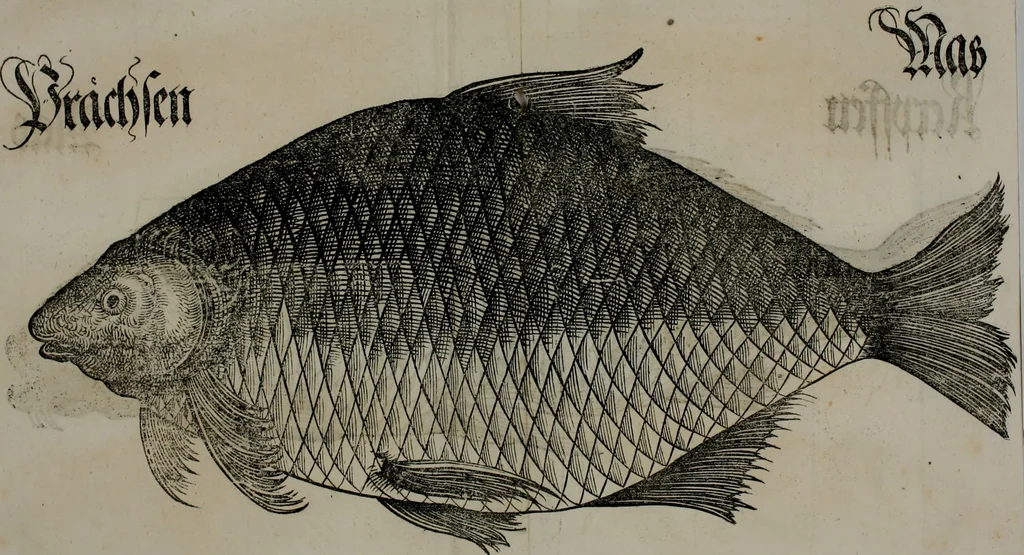 An illustration from Bairische Lanndtsordnung, 1553, leaf 336