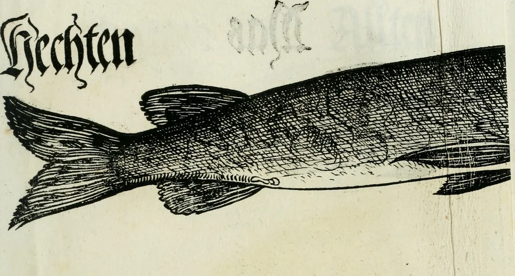 An illustration from Bairische Lanndtsordnung, 1553, leaf 338