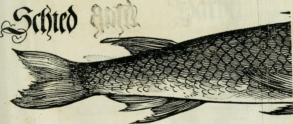 An illustration from Bairische Lanndtsordnung, 1553, leaf 338