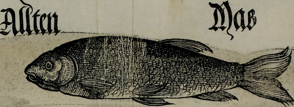 An illustration from Bairische Lanndtsordnung, 1553, leaf 340