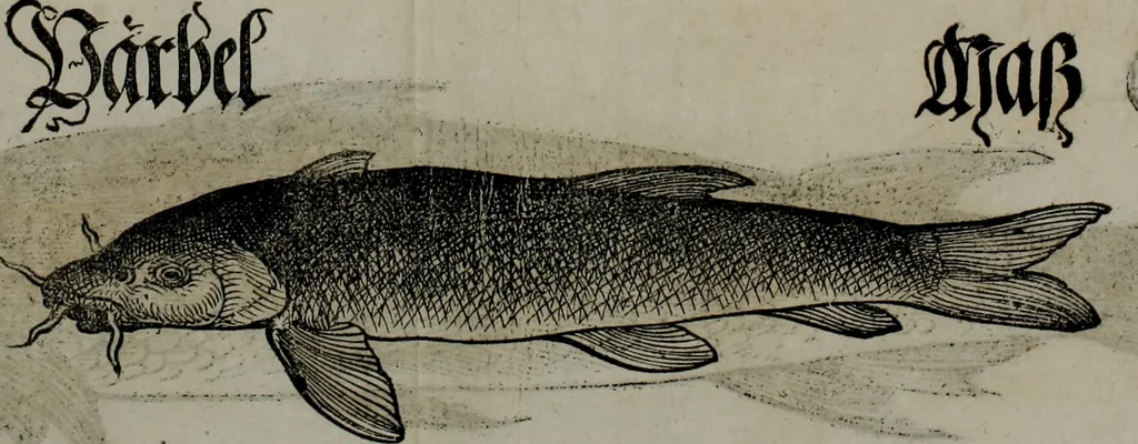 An illustration from Bairische Lanndtsordnung, 1553, leaf 340