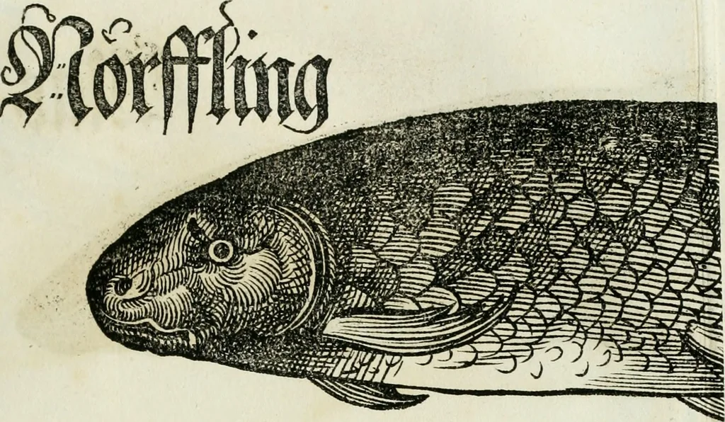 An illustration from Bairische Lanndtsordnung, 1553, leaf 342