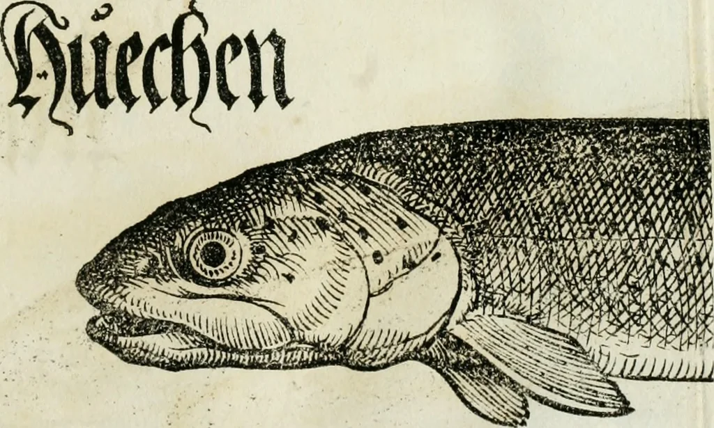 An illustration from Bairische Lanndtsordnung, 1553, leaf 342