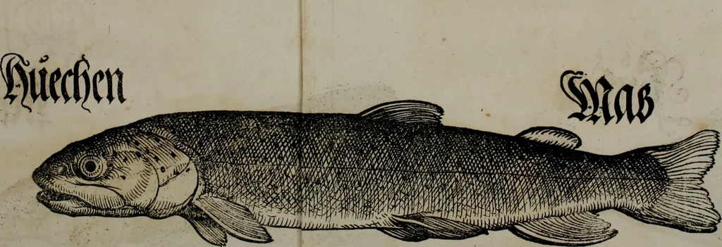 An illustration from Bairische Lanndtsordnung, 1553, leaf 344