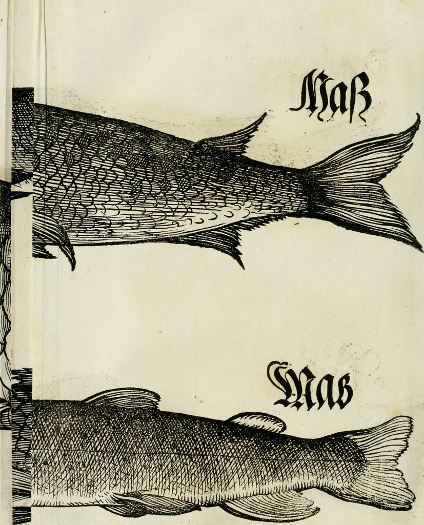 An illustration from Bairische Lanndtsordnung, 1553, leaf 345