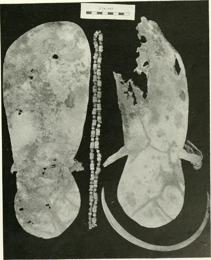 An illustration from Balabish, 1920, leaf 102
