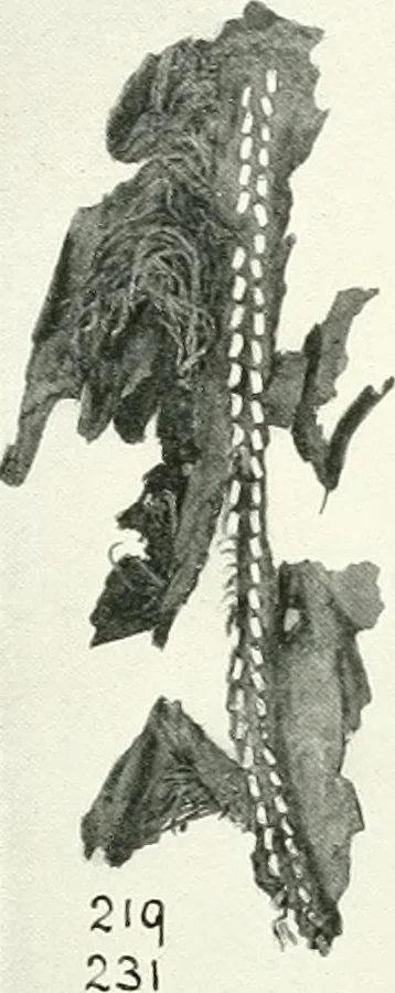 An illustration from Balabish, 1920, leaf 110
