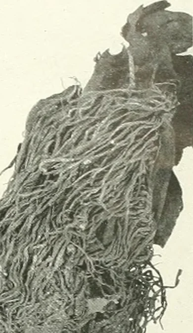An illustration from Balabish, 1920, leaf 110