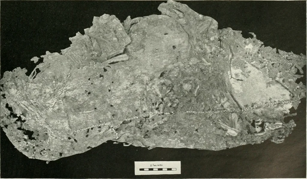 An illustration from Balabish, 1920, leaf 112