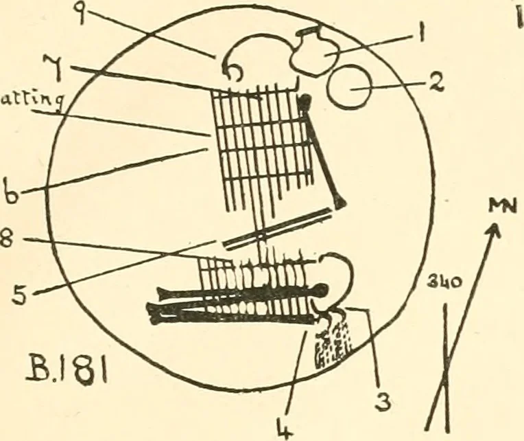 An illustration from Balabish, 1920, leaf 120