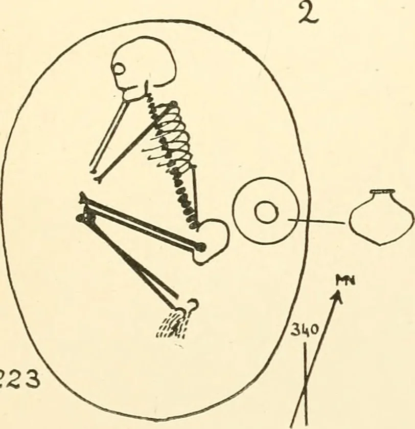 An illustration from Balabish, 1920, leaf 120