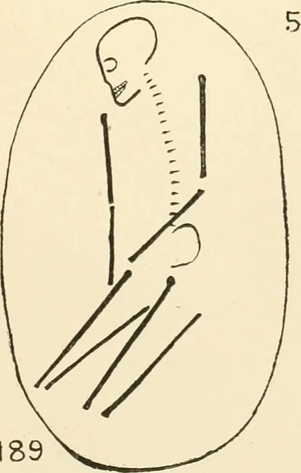 An illustration from Balabish, 1920, leaf 120