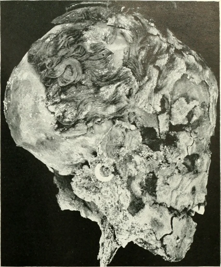 An illustration from Balabish, 1920, leaf 128
