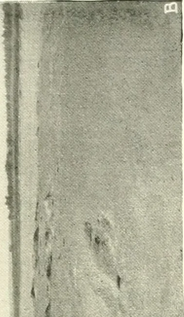 An illustration from Balabish, 1920, leaf 92