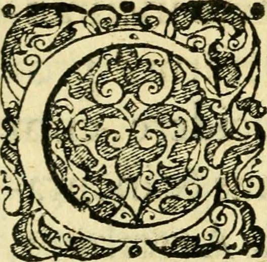 An illustration from Baldi Angeli Abbatii ... De admirabili viperae natura, & de mirificis ejusdem facultatibus liber, 1603, leaf 119