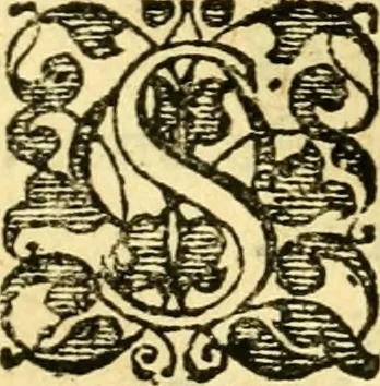 An illustration from Baldi Angeli Abbatii ... De admirabili viperae natura, & de mirificis ejusdem facultatibus liber, 1603, leaf 14