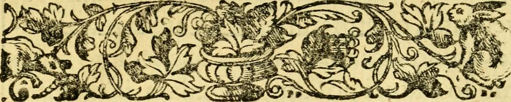 An illustration from Baldi Angeli Abbatii ... De admirabili viperae natura, & de mirificis ejusdem facultatibus liber, 1603, leaf 20
