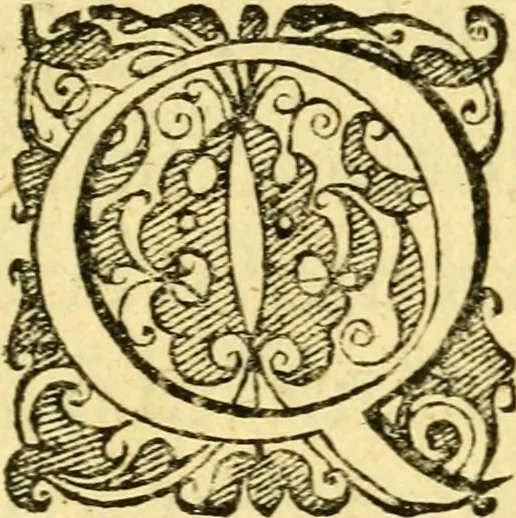 An illustration from Baldi Angeli Abbatii ... De admirabili viperae natura, & de mirificis ejusdem facultatibus liber, 1603, leaf 24