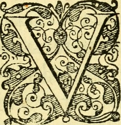 An illustration from Baldi Angeli Abbatii ... De admirabili viperae natura, & de mirificis ejusdem facultatibus liber, 1603, leaf 28