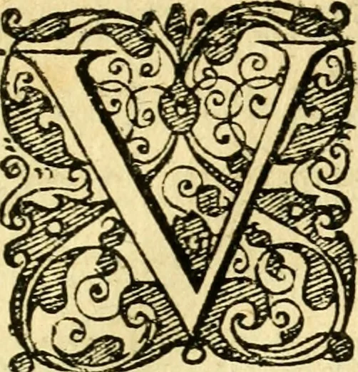 An illustration from Baldi Angeli Abbatii ... De admirabili viperae natura, & de mirificis ejusdem facultatibus liber, 1603, leaf 38