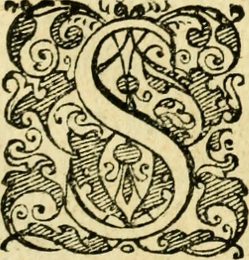An illustration from Baldi Angeli Abbatii ... De admirabili viperae natura, & de mirificis ejusdem facultatibus liber, 1603, leaf 41