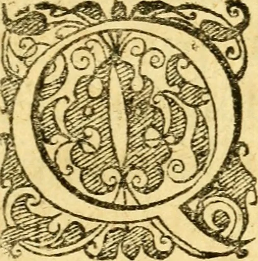An illustration from Baldi Angeli Abbatii ... De admirabili viperae natura, & de mirificis ejusdem facultatibus liber, 1603, leaf 50