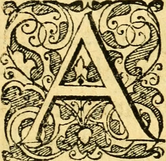 An illustration from Baldi Angeli Abbatii ... De admirabili viperae natura, & de mirificis ejusdem facultatibus liber, 1603, leaf 56