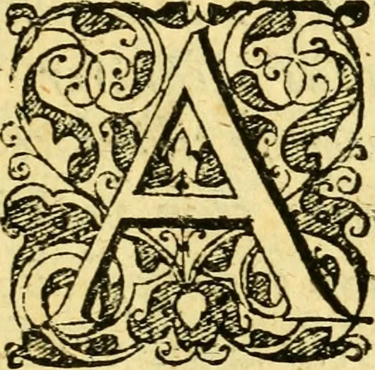 An illustration from Baldi Angeli Abbatii ... De admirabili viperae natura, & de mirificis ejusdem facultatibus liber, 1603, leaf 6